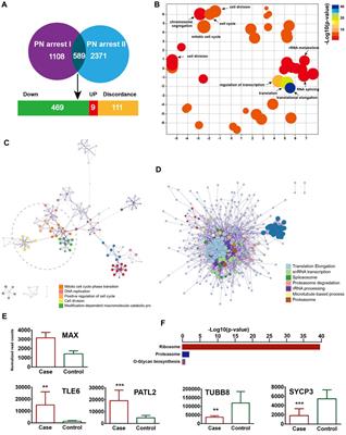 A case report of a family with developmental arrest of human prokaryotic stage zygote